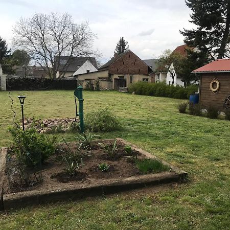 Ferienhaus Leo Boblitz Εξωτερικό φωτογραφία